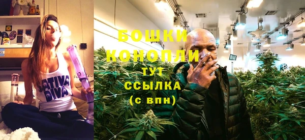 jwh Бородино