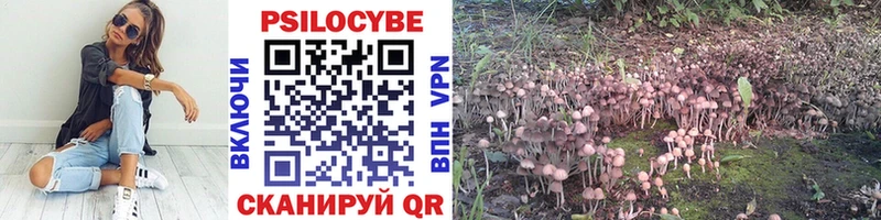 Галлюциногенные грибы MAGIC MUSHROOMS  OMG ссылка  Златоуст 